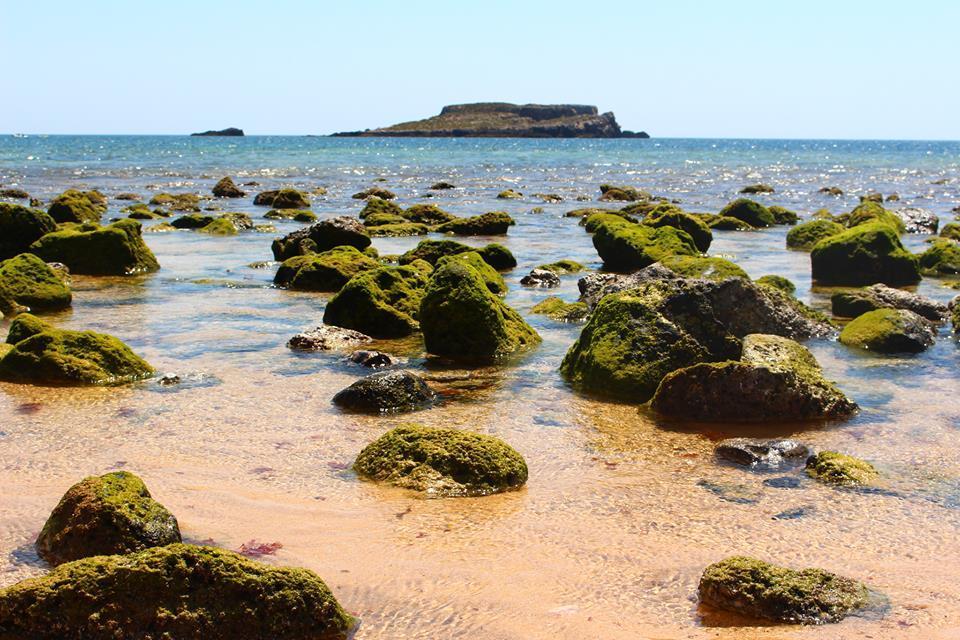 Sagres Sunny Room With Private Bathroom 300M From The Beach Luaran gambar